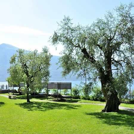 Bed and Breakfast Torre Degli Ulivi Тиньяле Экстерьер фото